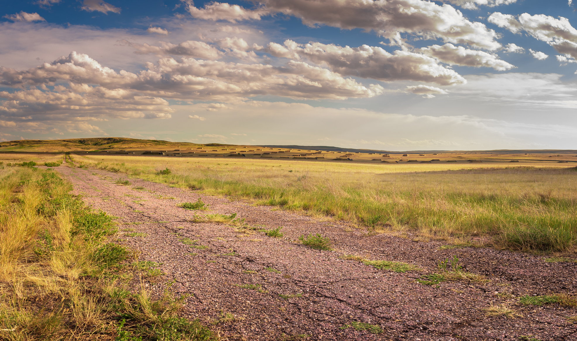 Overcast Prarie